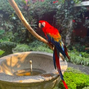 Meet your Posher, Lana